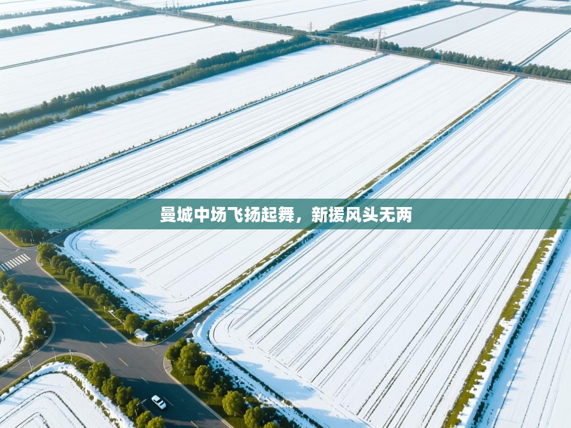 曼城中场飞扬起舞，新援风头无两  第2张