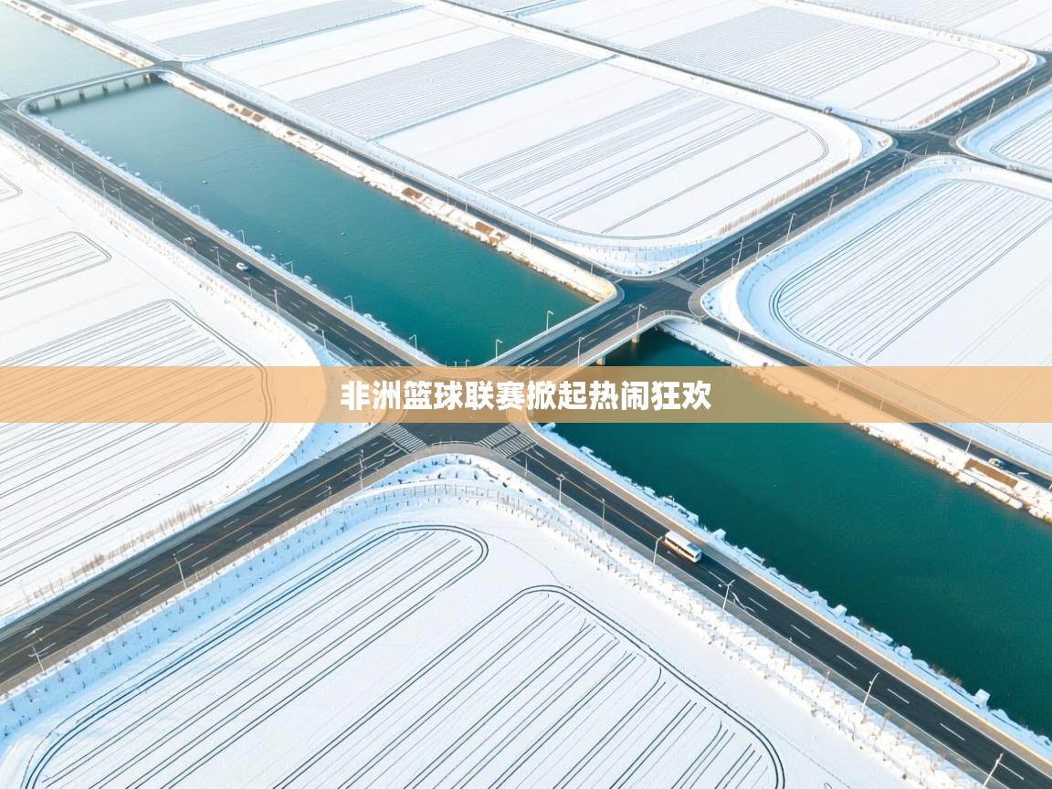 非洲篮球联赛掀起热闹狂欢  第2张